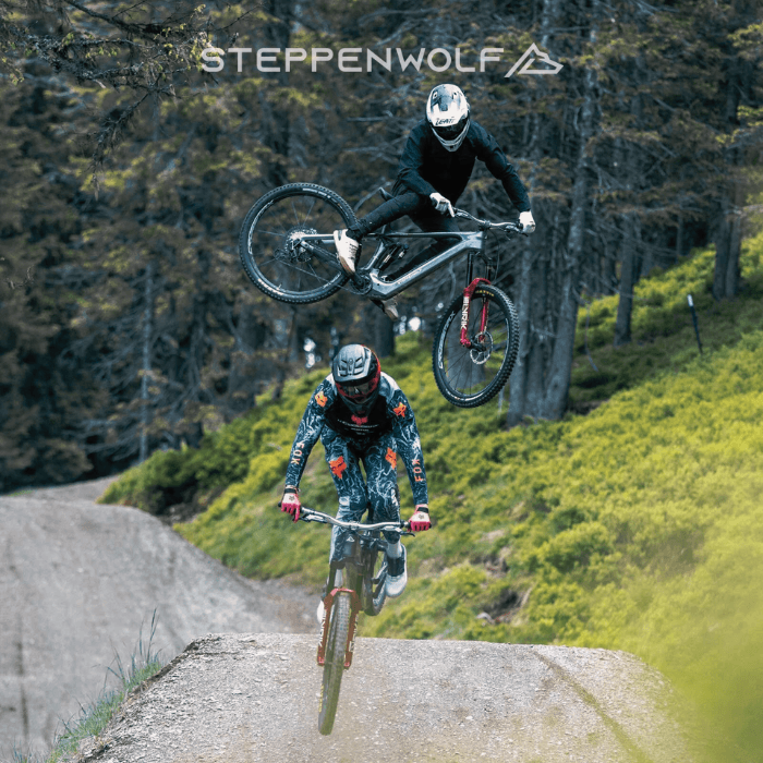 Steppenwolf E-Bikes